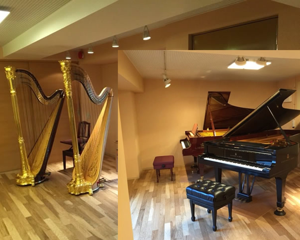 プロハーペスト(ハープ)奏者の小栗様